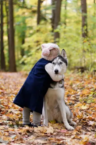 Animale